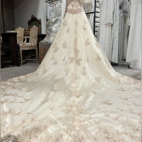 Champagne Wedding Dress - Picture 8 of 10